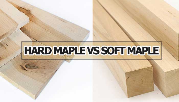 Hard Maple VS Soft Maple : Which One to Use and Why?
