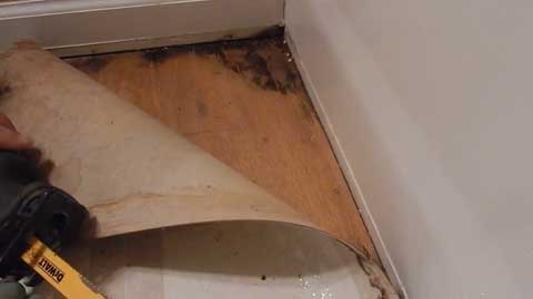 Risk of Mold Growth