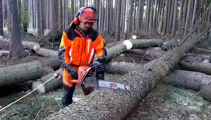 Best logging chainsaw