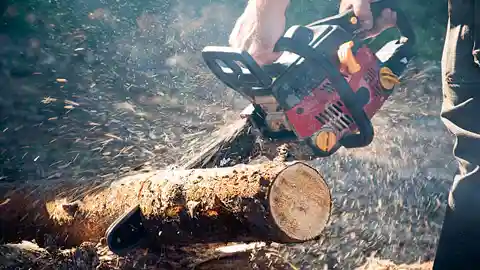 Gas powered chainsaw for big firewood cutting jobs