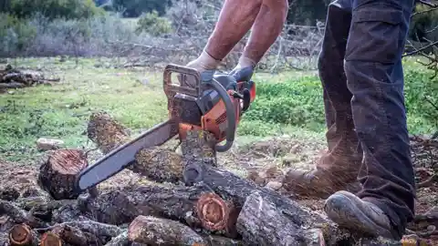 What Size Chainsaw Do Professional Loggers Use