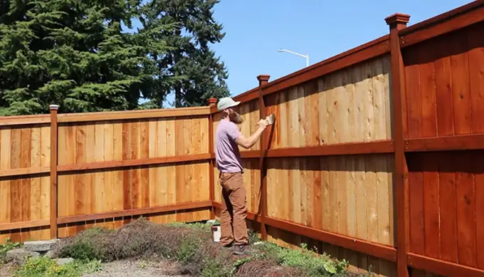 When to Stain a New Cedar Fence
