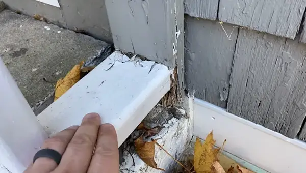 How to Identify Rotten Wood